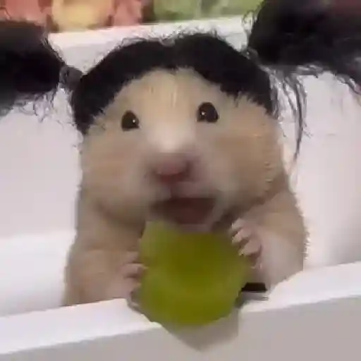 🎵 TIKTOKeando 39🎵