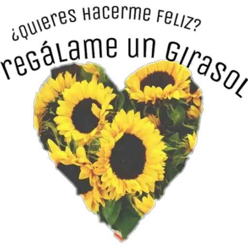 Girasol 🌻 