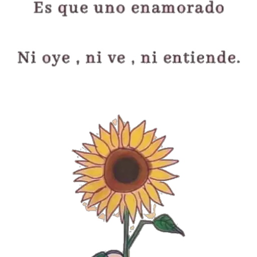 Girasol 🌻 