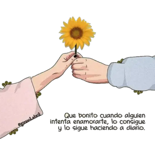 Girasol 🌻 