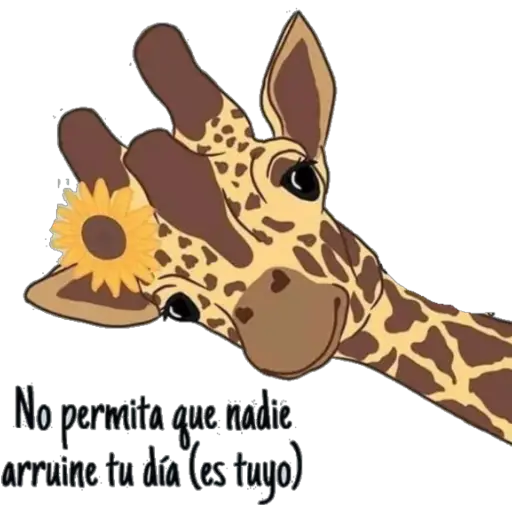Girasol 🌻 