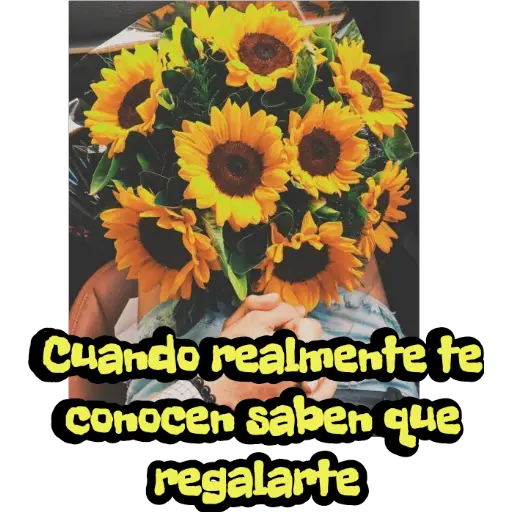 Girasol 🌻  preview