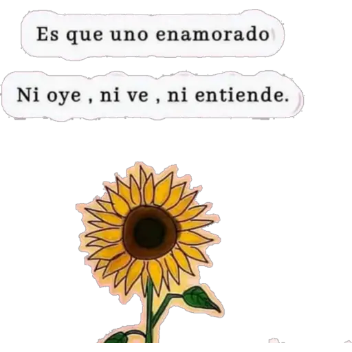 Girasol 🌻 