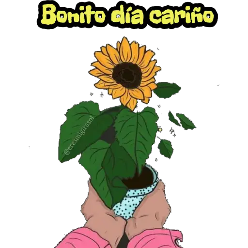 Girasol 🌻 