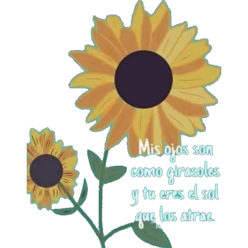 Girasol 🌻  preview