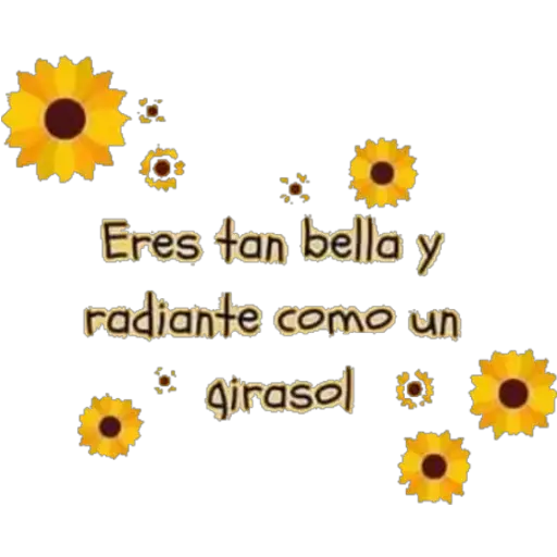 Girasol 🌻 