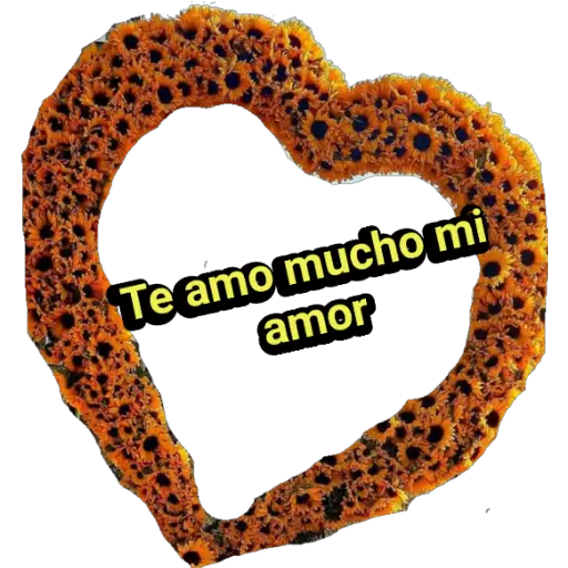 Girasol 🌻 