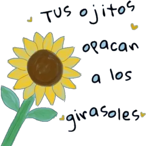 Girasol 🌻 