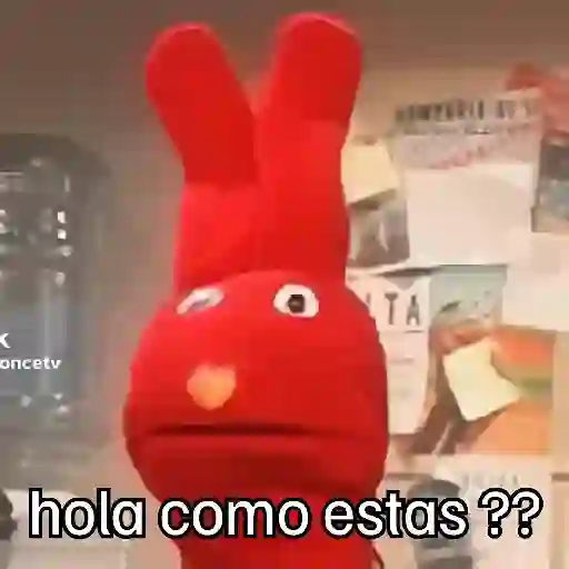 🧭 31 minutos - Bodoque 🧭