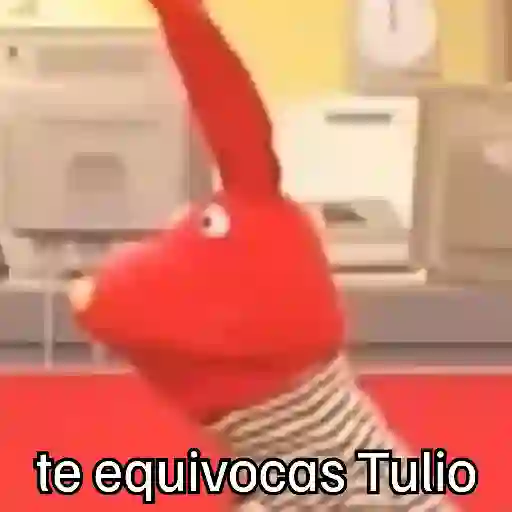 🧭 31 minutos - Bodoque 🧭