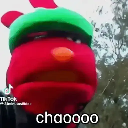 🧭 31 minutos - Bodoque 🧭