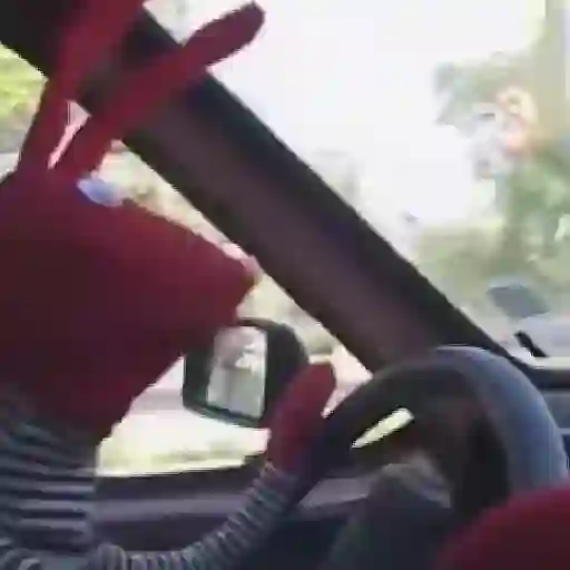 🧭 31 minutos - Bodoque 🧭