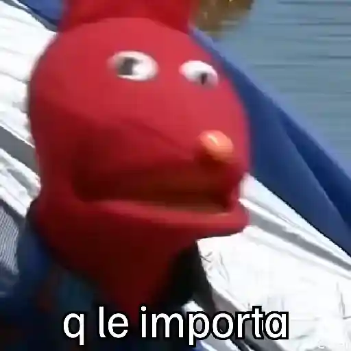 🧭 31 minutos - Bodoque 🧭