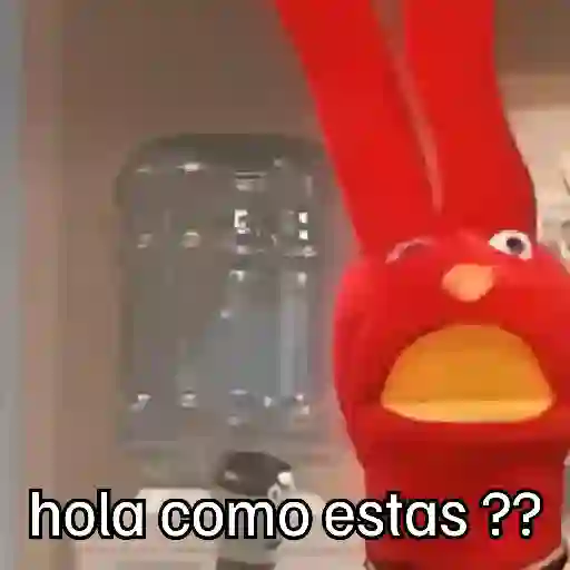 🧭 31 minutos - Bodoque 🧭 preview