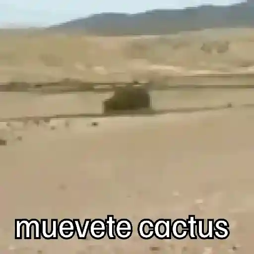 🧭 31 minutos - Bodoque 🧭