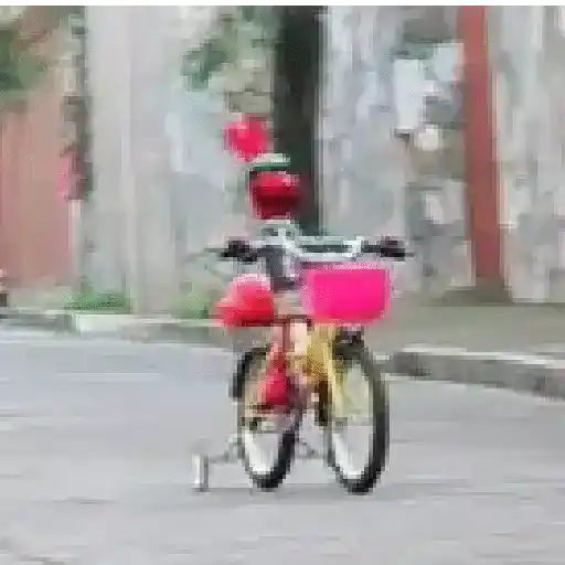 🧭 31 minutos - Bodoque 🧭