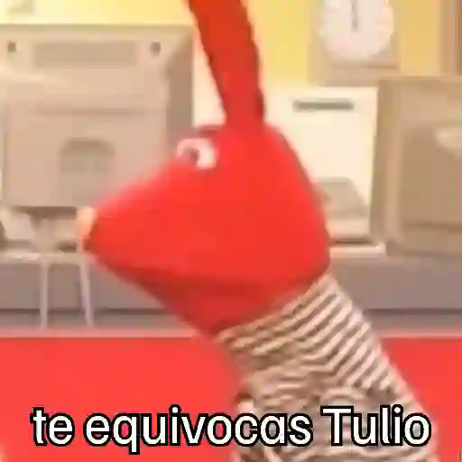 🧭 31 minutos - Bodoque 🧭 preview