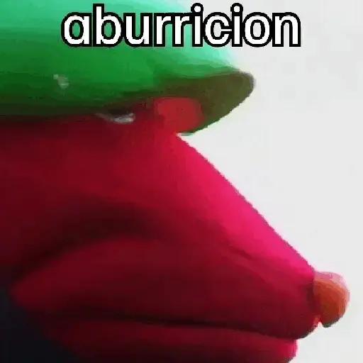🧭 31 minutos - Bodoque 🧭
