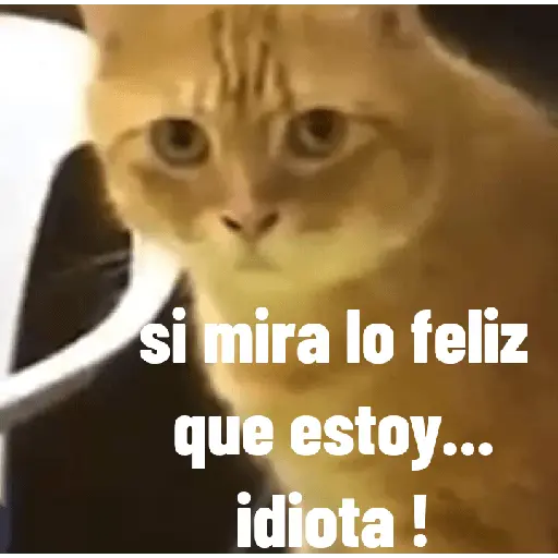 animales ramdom