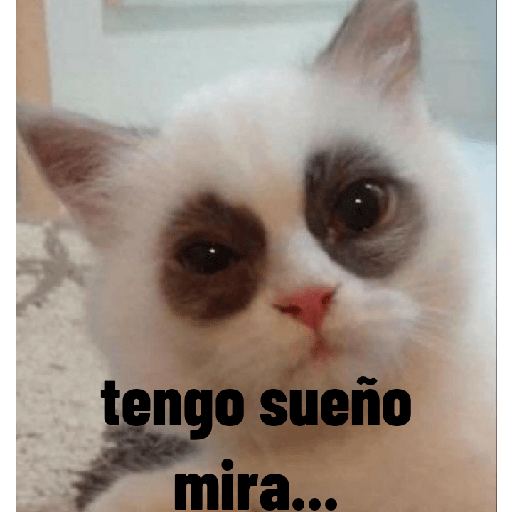 animales ramdom preview
