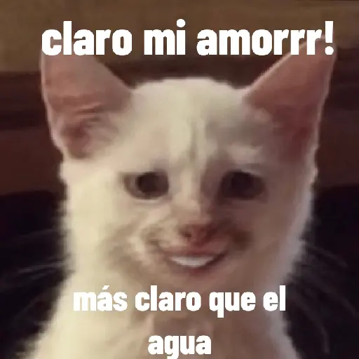 animales ramdom