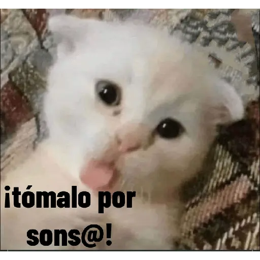 animales ramdom