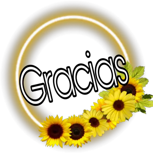 Girasoles 2 ♡ 