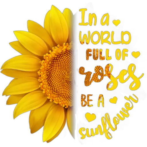 Girasoles 2 ♡ 