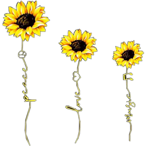 Girasoles 2 ♡ 