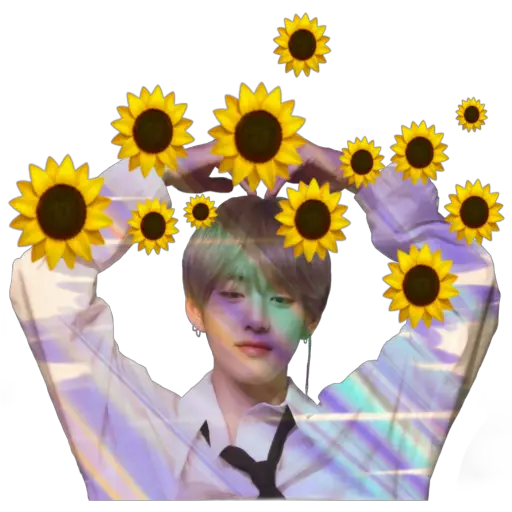 Girasoles 2 ♡ 