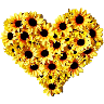 Girasoles 2 ♡ 