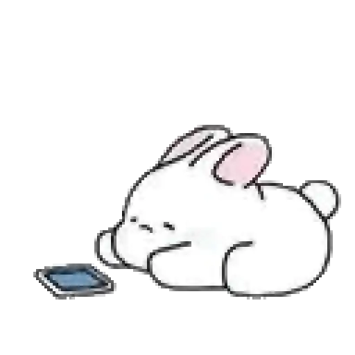 Amor conejito Tozzi 🐰💞