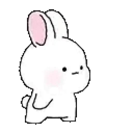 Amor conejito Tozzi 🐰💞