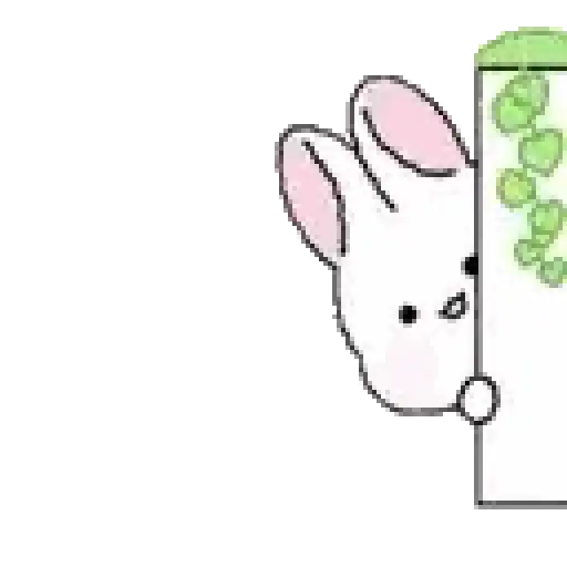Amor conejito Tozzi 🐰💞