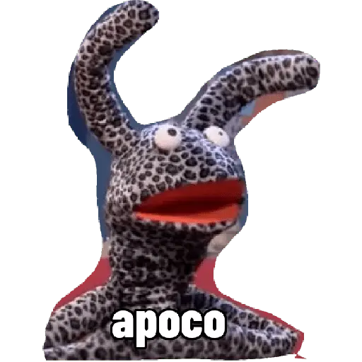 31 minutos