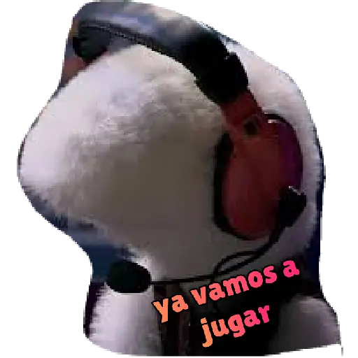 31 minutos