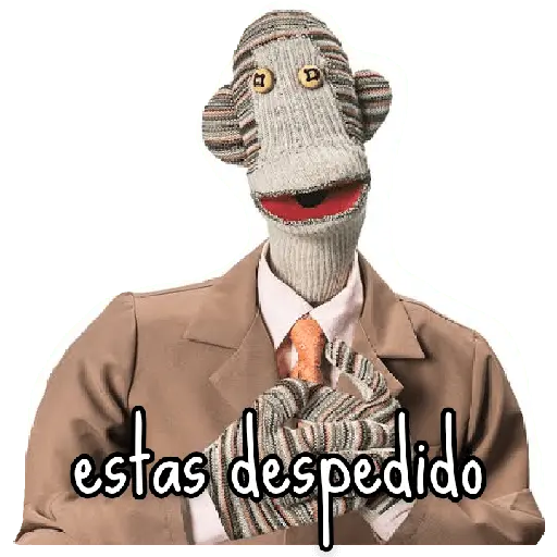 31 minutos