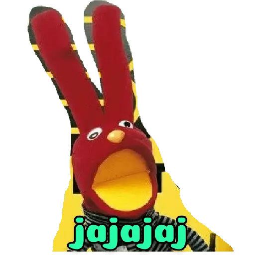 31 minutos
