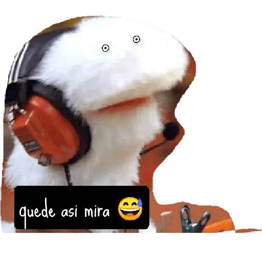 31 minutos