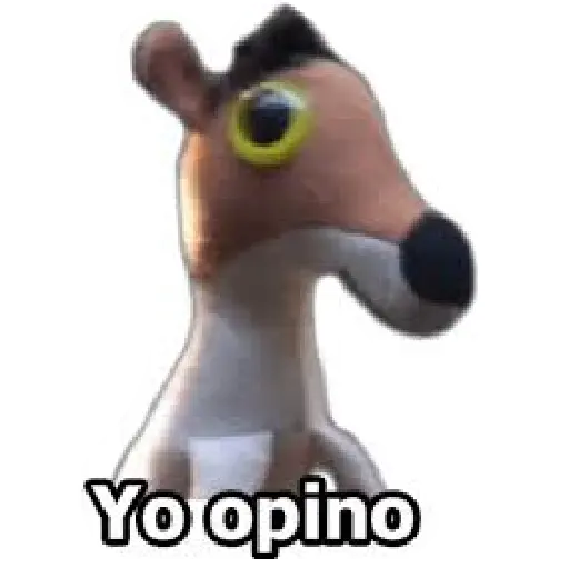 31 minutos