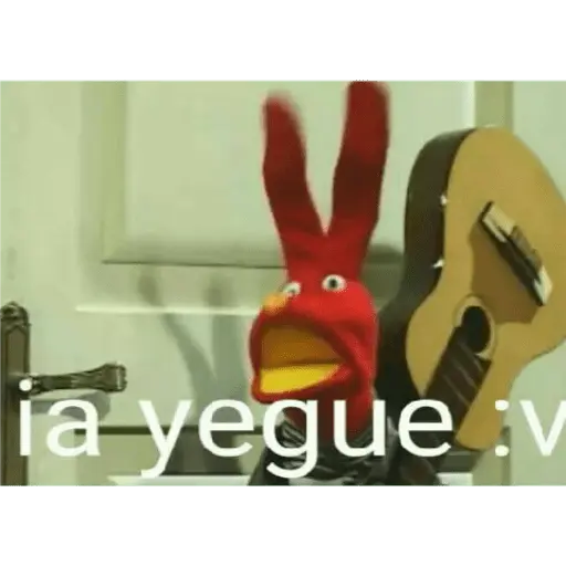 bodoque