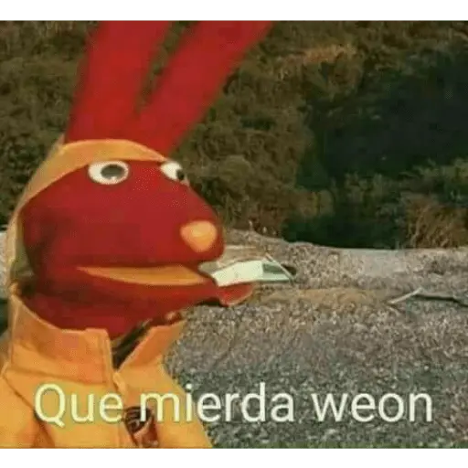 bodoque