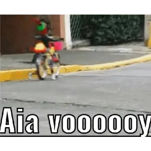 bodoque
