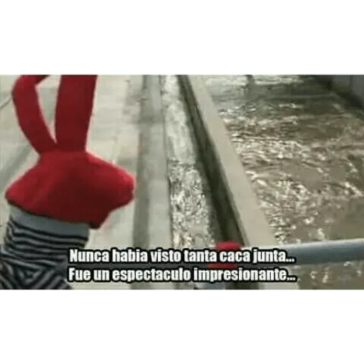 bodoque