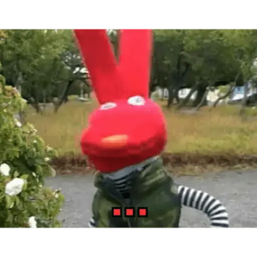 bodoque