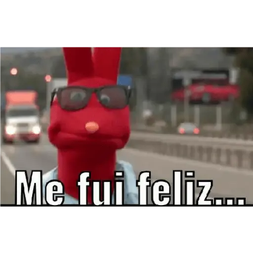 bodoque