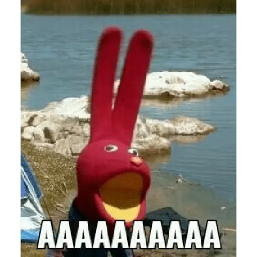 bodoque