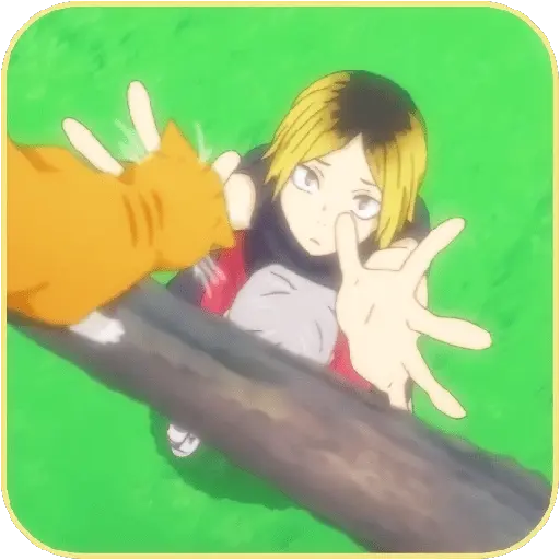 Kenma   Kozume   ✶   Hakyuu