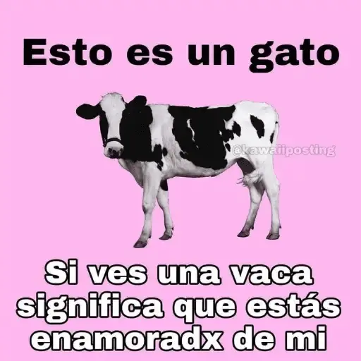 Animales Random🌸💥