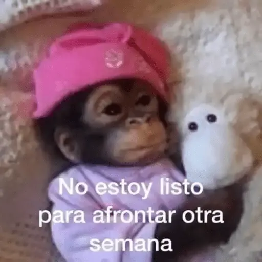 Animales Random🌸💥